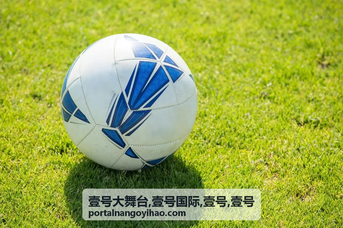 壹号大舞台品牌发布与壹号国际展示封面